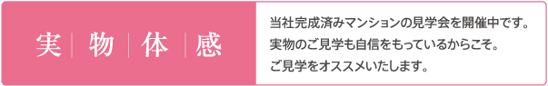 実物体感