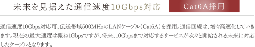 Cat6A採用