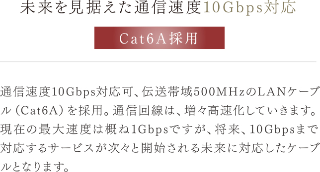 Cat6A採用