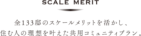 scale_merit