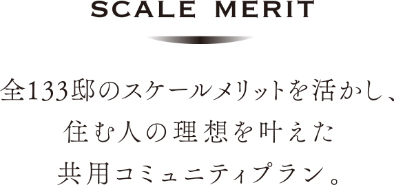 scale_merit