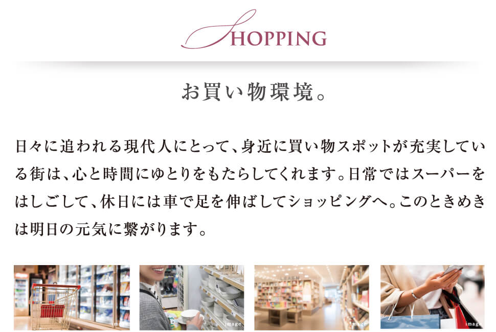 お買い物環境。日常ではスーパーをはしごして、休日には車で足を伸ばしてショッピングへ。