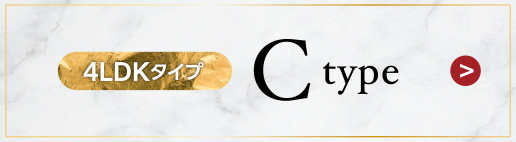 Cタイプ