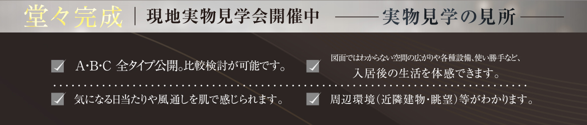 現地実物見学会開催中